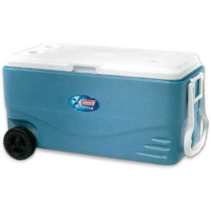 Food Coolers \u0026 Warmers Reviewed 